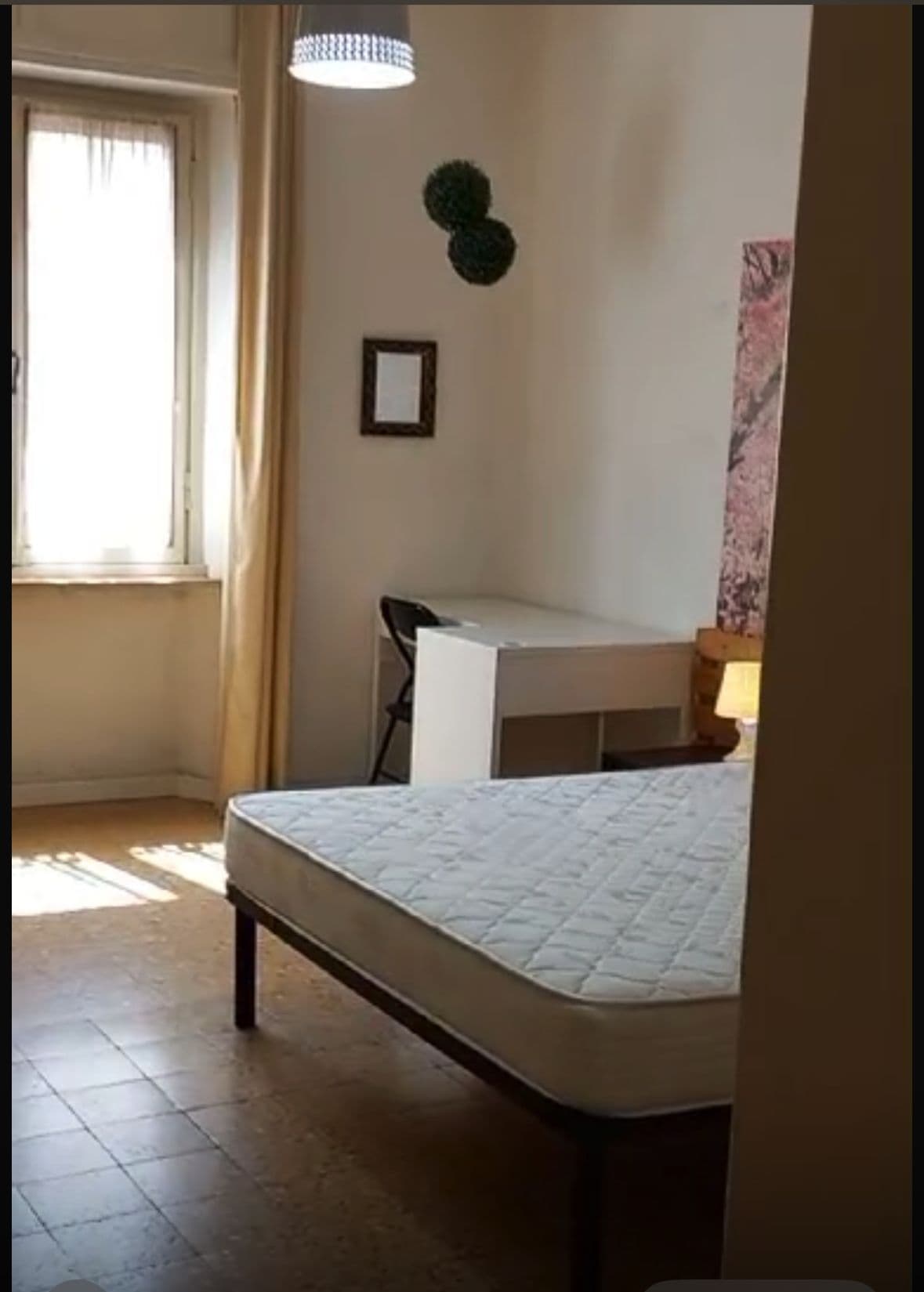 Private room in Pisa